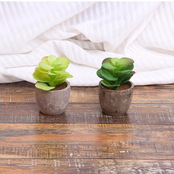 Whosale mini artificial succulent plant potted succulent plants with bonsai pot