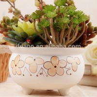 Special hand-painted ceramic flower pots and planter